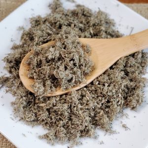 茵陈 绵茵陈 Yin Chen / Mian Yin Chen / Herba Artemisiae Scopariae / Virgate Wormwood