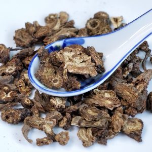 野生羌活 Qiang Huo / Notopterygii Rhizoma et Radix / Rhizoma et Radix Notopterygii