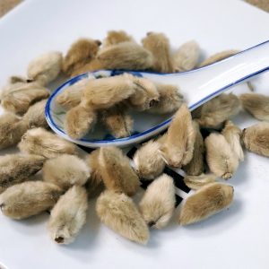 辛夷花 Xin Yi / Magnolia Flower Bud / Bud of magnolia Denudata Desr.