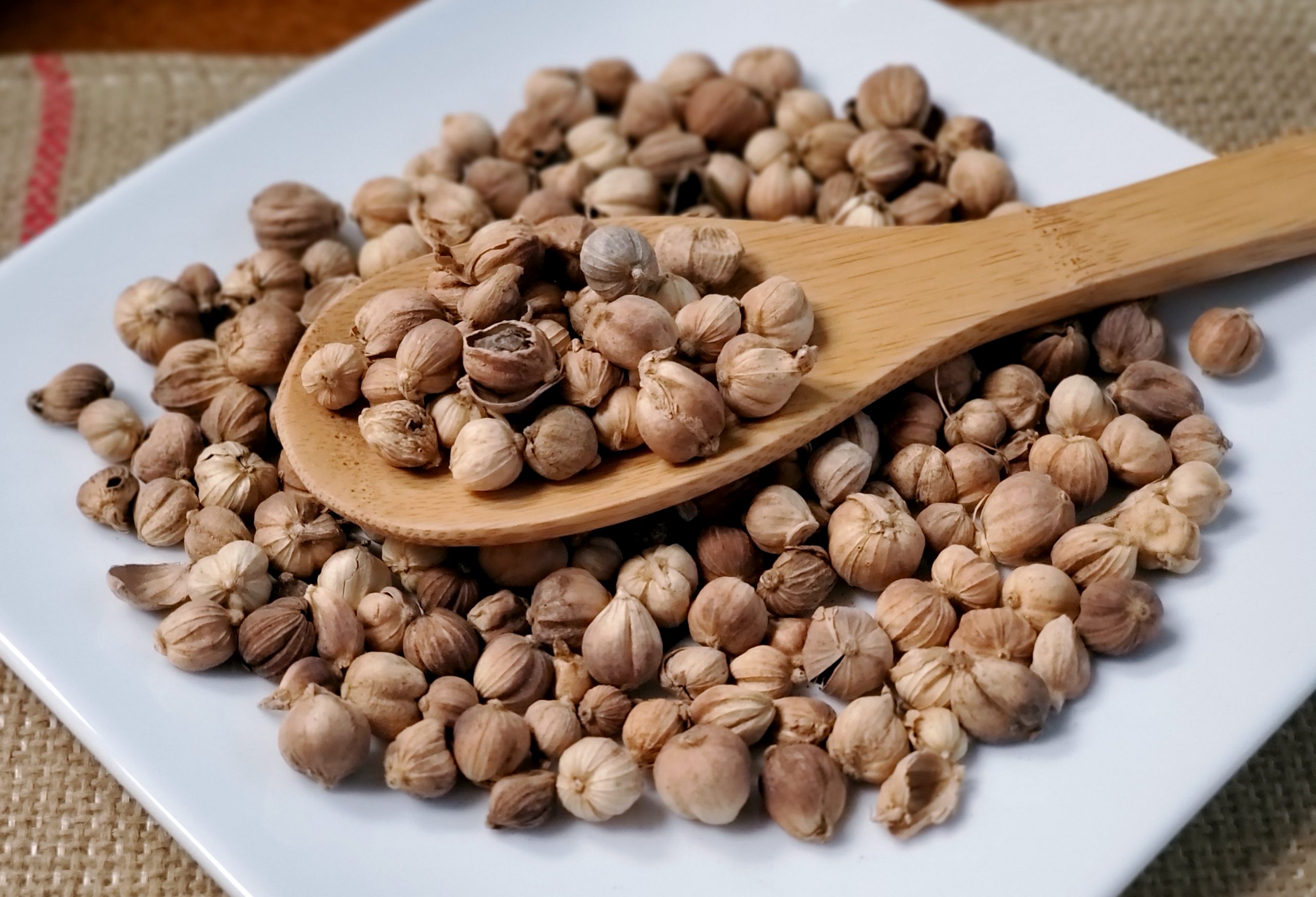 白豆蔻 Bai Dou Kou / Amomi Fructus Rotundus /Round Cardamom Cluster /Amomun Kravanh Pierre Ex Gagnep/Myristicae Sm.