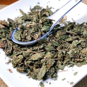 霜桑叶 Shuang Sang Ye / Morus Alba L