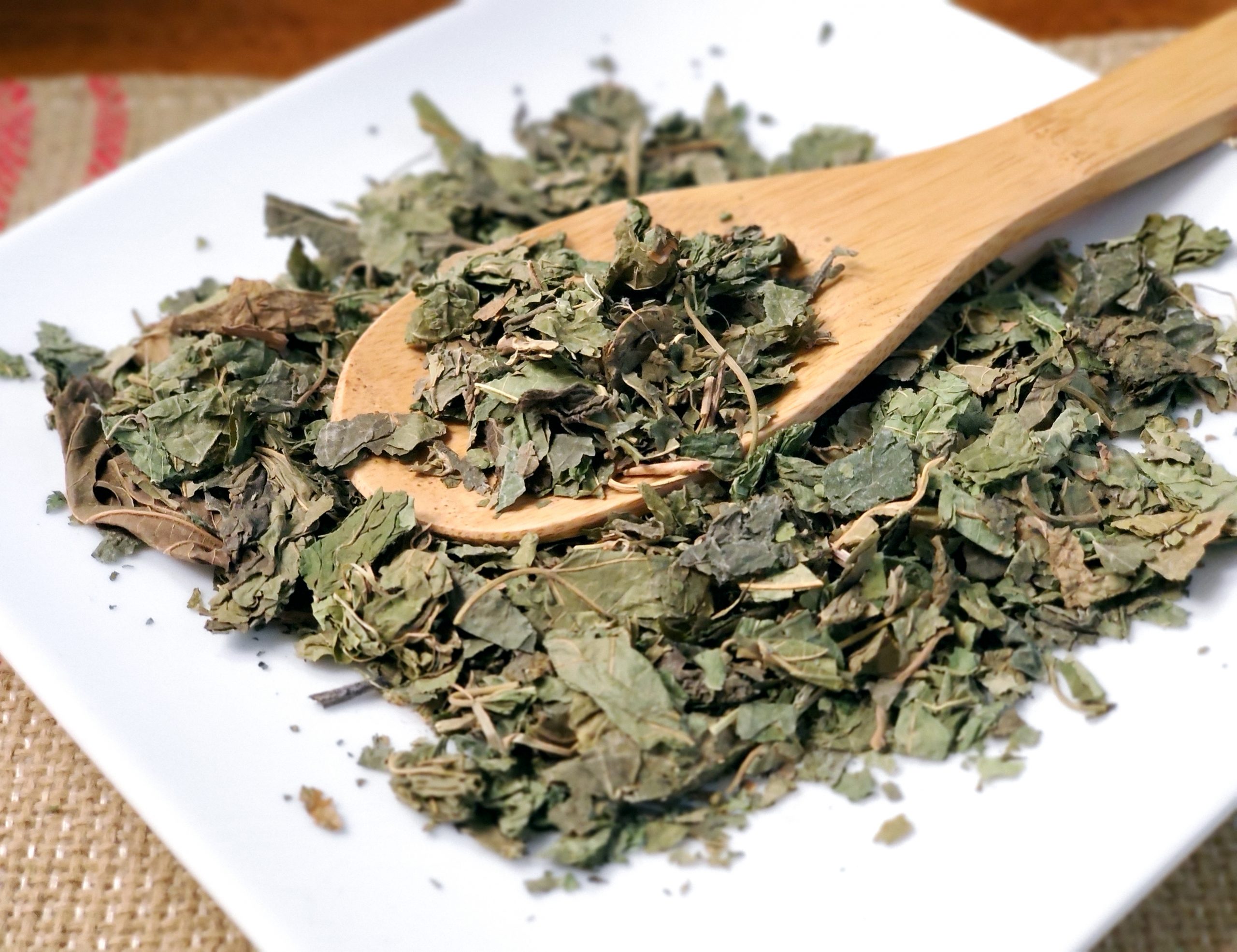 霜桑叶 Shuang Sang Ye / Morus Alba L - Image 2