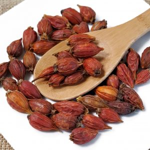 山栀子 栀子 Shan Zhi Zi / Gardeniae Fructus / Gardenia Fruit / Cape Jasmine Fruit