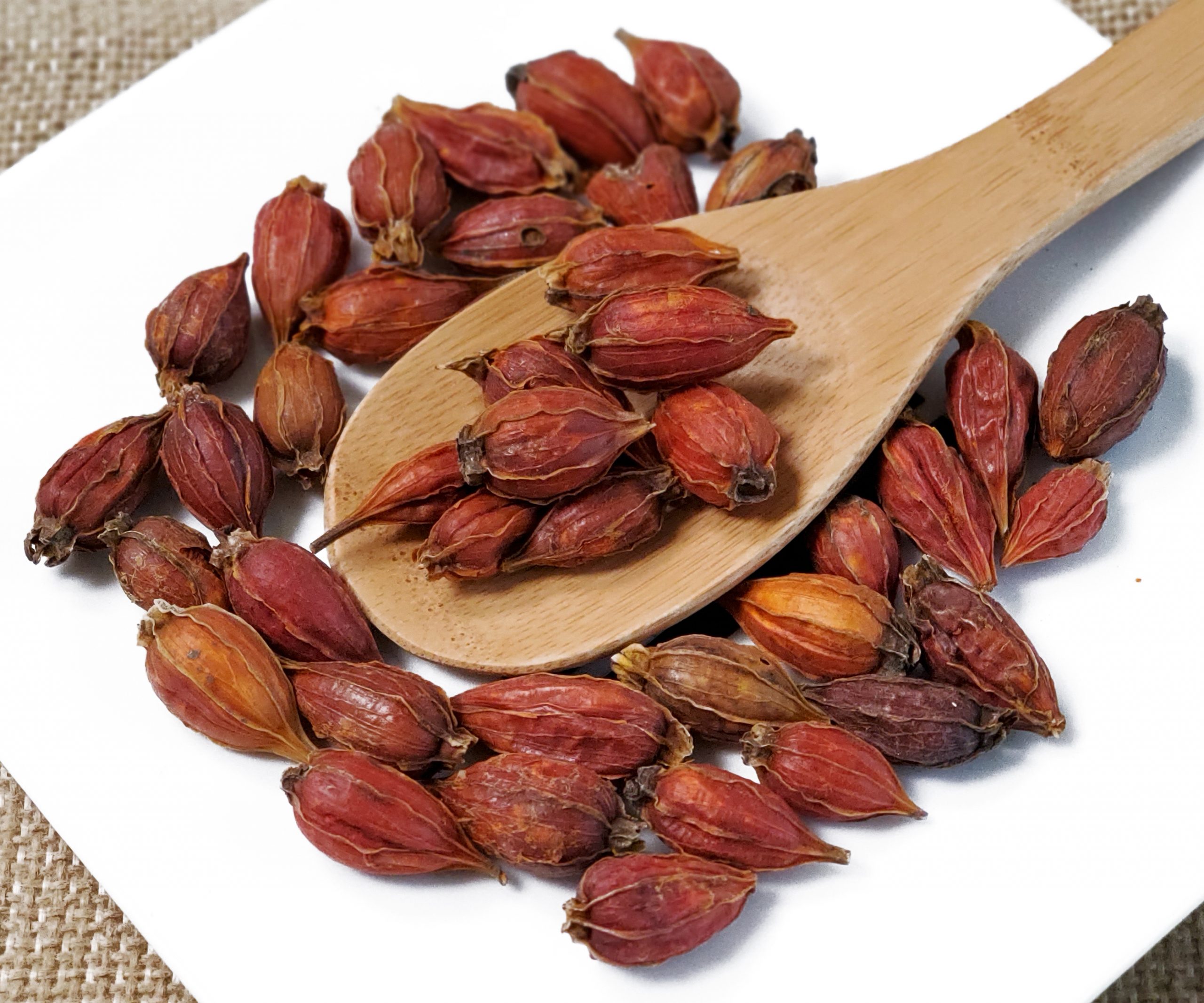 山栀子 栀子 Shan Zhi Zi / Gardeniae Fructus / Gardenia Fruit / Cape Jasmine Fruit