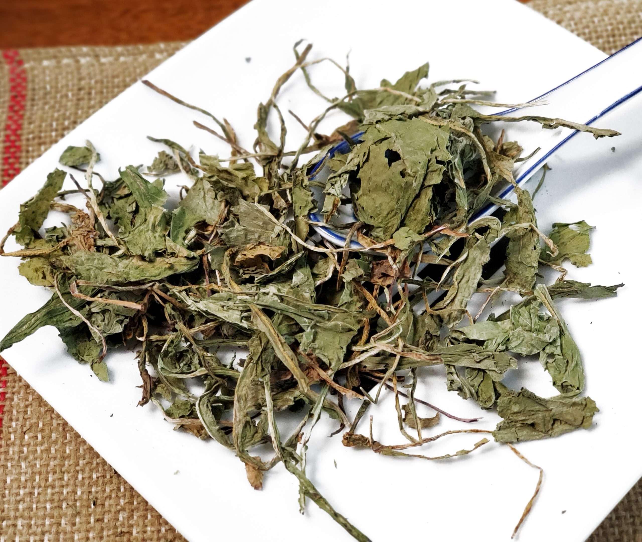 蒲公英 Pu Gong Ying / Herba Taraxaci / Taraxacum / Mongolian Dandelion herb - Image 2