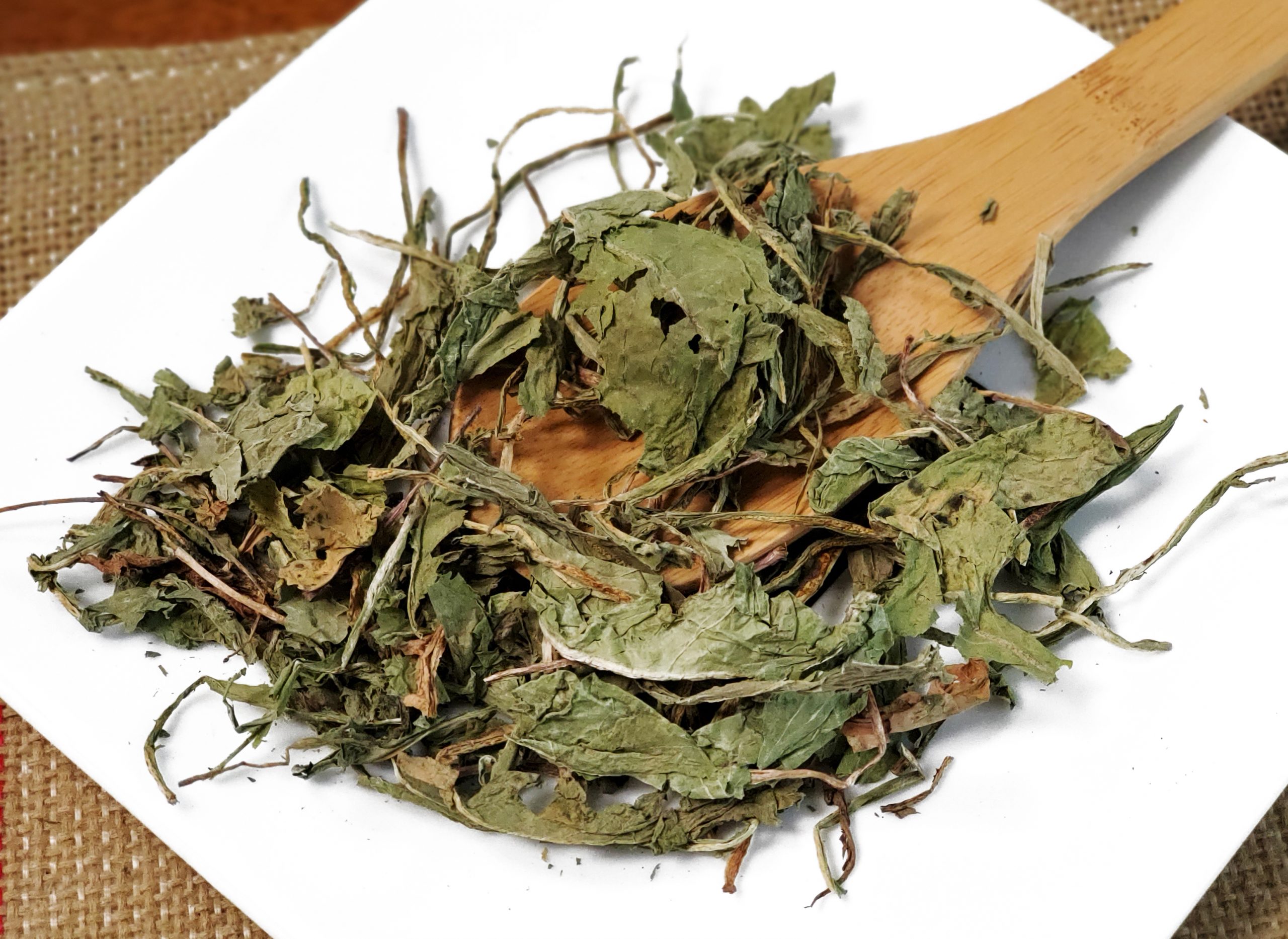 蒲公英 Pu Gong Ying / Herba Taraxaci / Taraxacum / Mongolian Dandelion herb