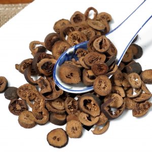 枳实 Zhi Shi / aurantii fructus immaturus