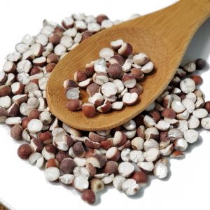 芡实 Qian Shi / Euryales Semen  / Seed of Gordon Euryale