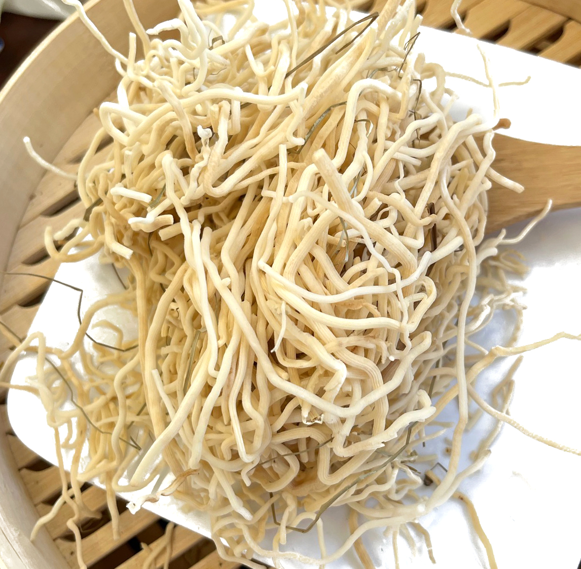 灯心草 灯芯草 Deng Xin Cao / Medulla Junci / Rush Pith / Juncus effusus - Image 2