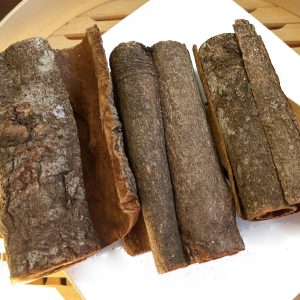 肉桂 Rou Gui Pi / Cortex Cinnamomi / Cinnamon Bark