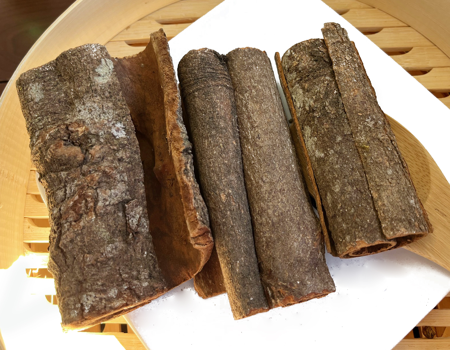 肉桂 Rou Gui Pi / Cortex Cinnamomi / Cinnamon Bark