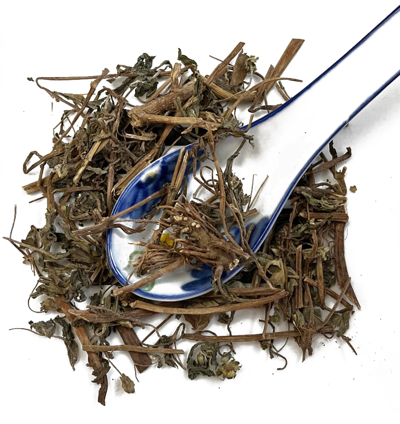 旱莲草 墨旱莲 Han Lian Cao / Ecliptae Herba / Elipta