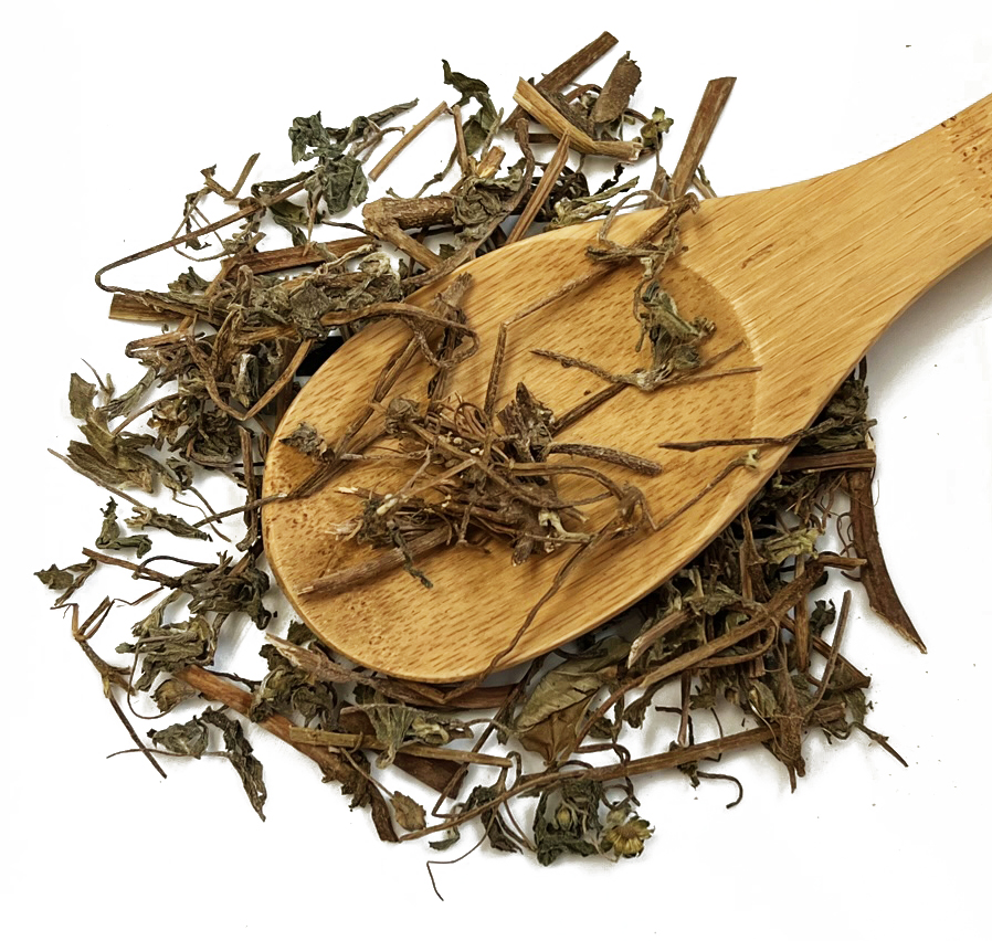 旱莲草 墨旱莲 Han Lian Cao / Ecliptae Herba / Elipta - Image 3