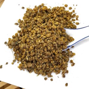 野菊花 Ye Ju Hua / Wild Chrysanthemum flower / Flos Chrysanthemi Indici