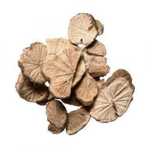 防己 Fang Ji / Radix Stephaniae Tetrandrae