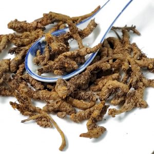 黄连  Huang Lian / Coptis Root Whole / Coptis Root / Rhizoma Coptidis (non Sulfur)