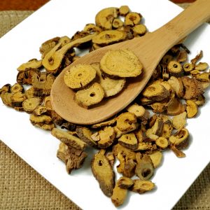 虎杖 Hu Zhang / Phiaoma Polygoni Cuspidati / Tiger Stick / Japan Fleeceflower