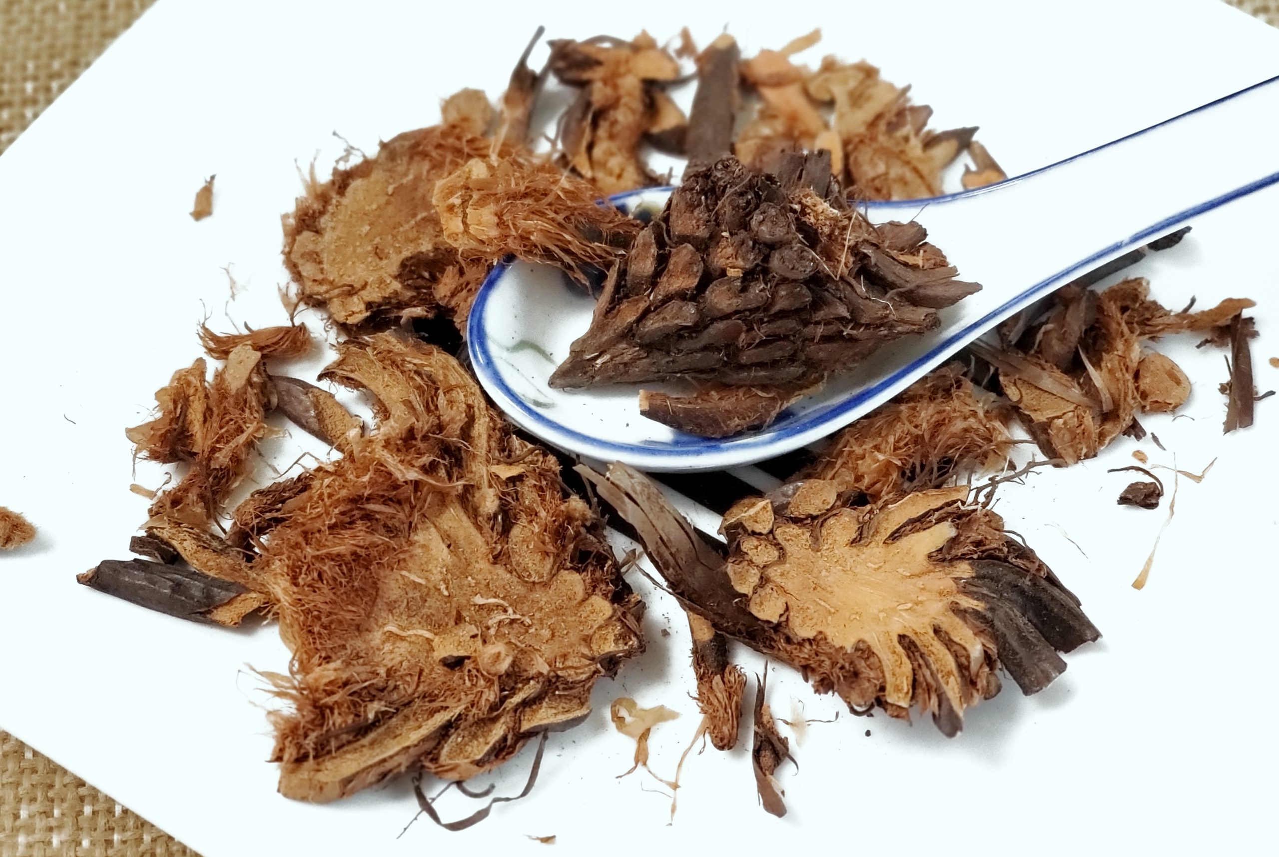 贯众 Guan Zhong /  Dryopteris Crassirhizoma Nakai - Image 2