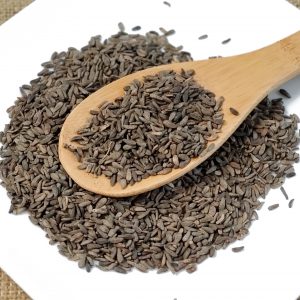 牛蒡子 Niu Bang Zi / achene of creat burdock / Fructus Arctii