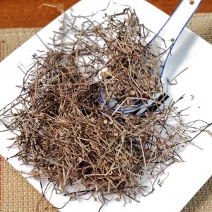 白花蛇舌草 Bai Hua She She Cao / Oldenlandia / Spreading Hedyotis Herb