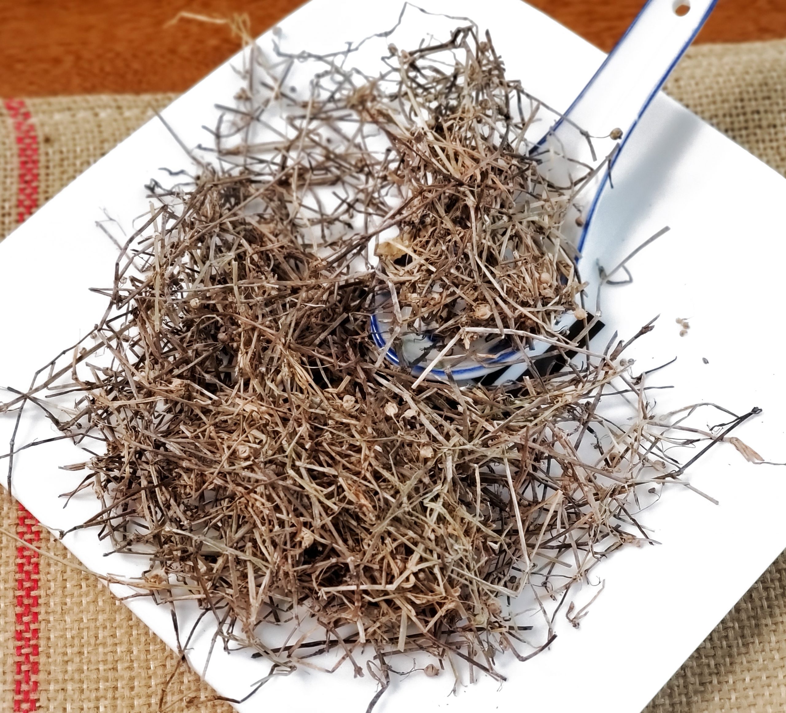 白花蛇舌草 Bai Hua She She Cao / Oldenlandia / Spreading Hedyotis Herb