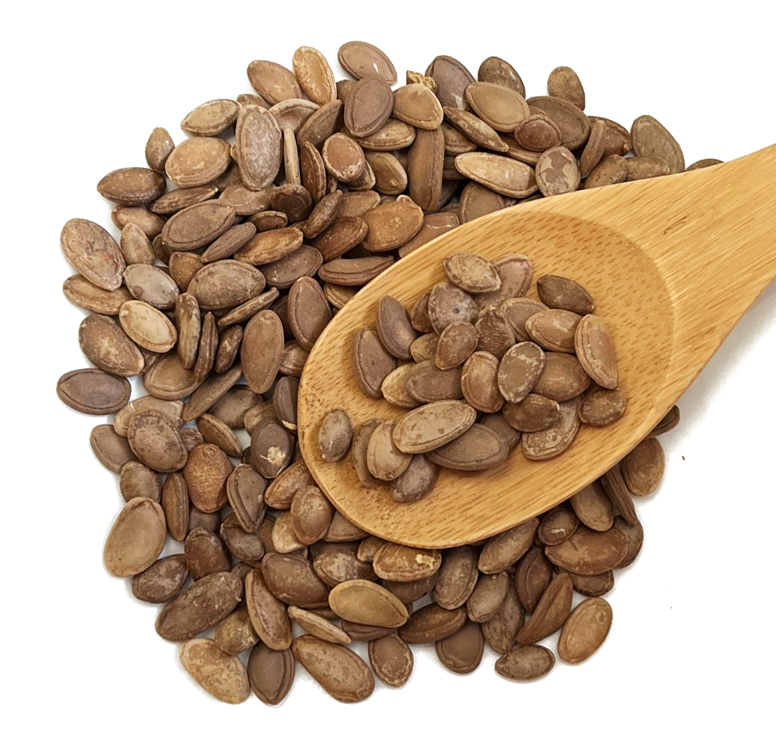 瓜蒌仁 栝蒌仁 Gua Lou Ren / trichosanthis kirlowii semen - Image 2