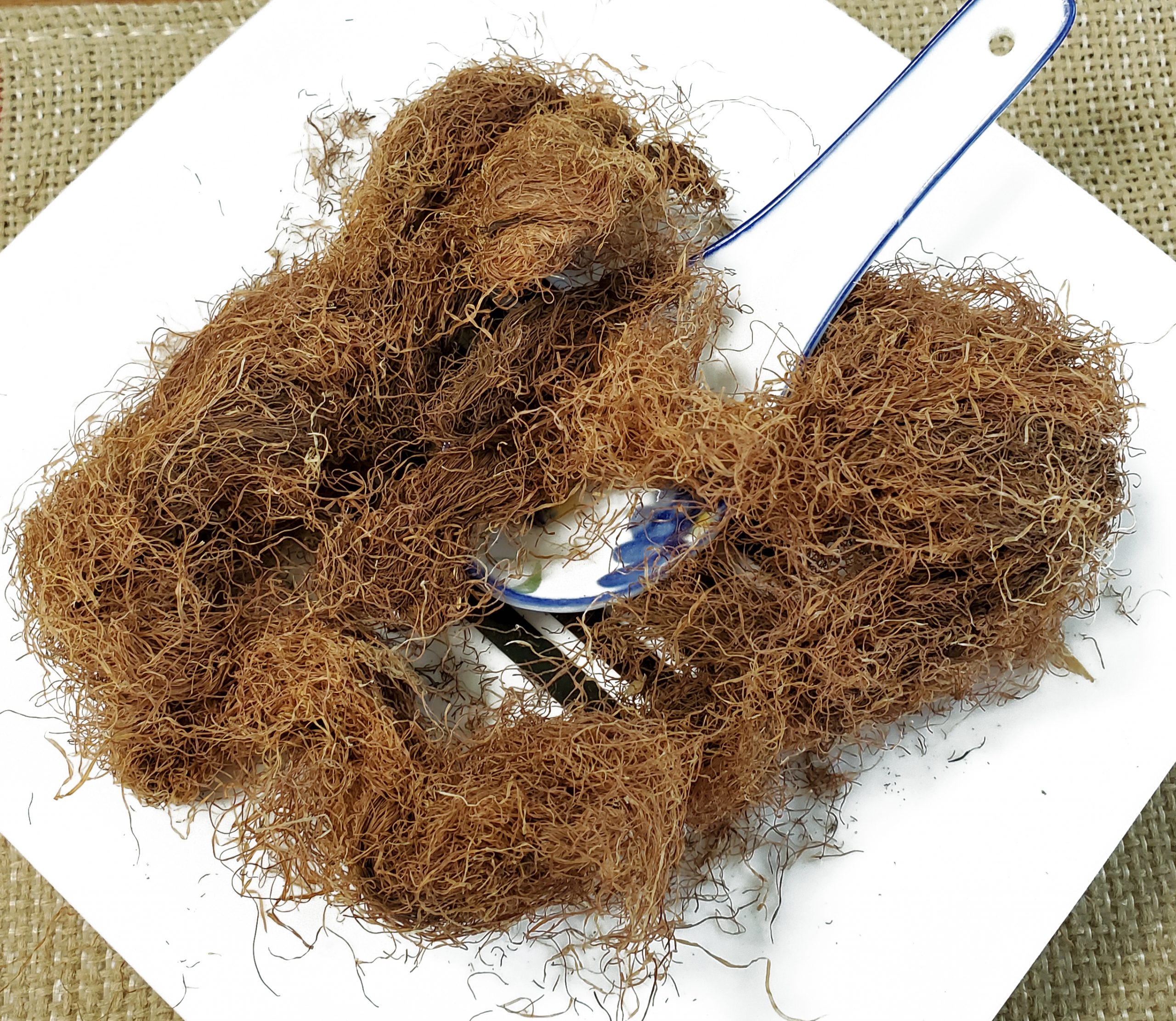 玉米须 玉麦须 Yu Mi Xu / Stamen Satariae / Corn Silk - Image 2