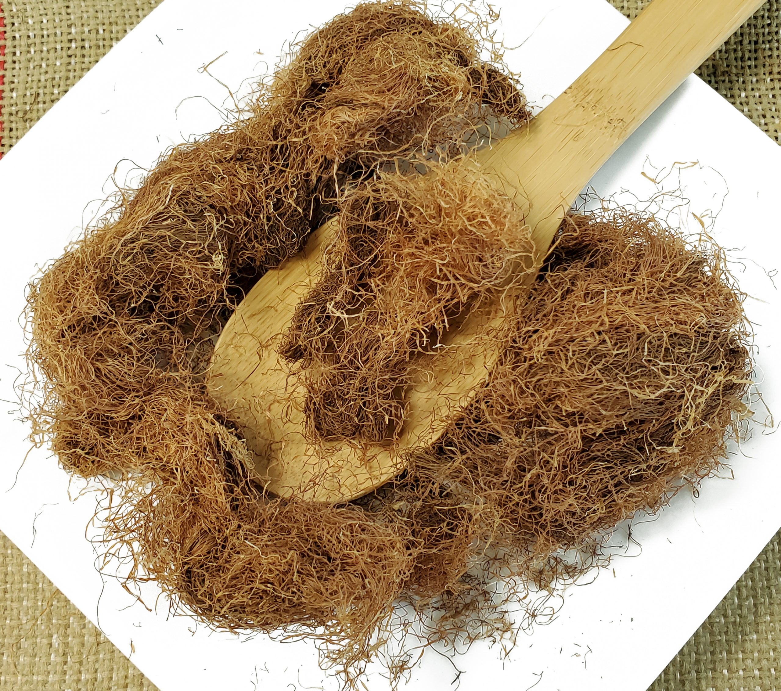 玉米须 玉麦须 Yu Mi Xu / Stamen Satariae / Corn Silk