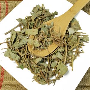 金钱草 Jin Qian Cao / Lysimachiae / Desmodii / Etc. herba / herba Lysimachiae