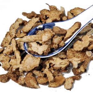 苍术 Cang Zhu / Rhizoma Atractylodis / Atractylodes Rhizoma