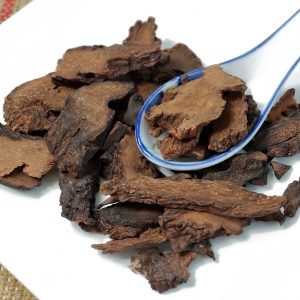 锁阳 Suo Yang / Cynomorii Herba / Fleshy Stem of Cynomorium