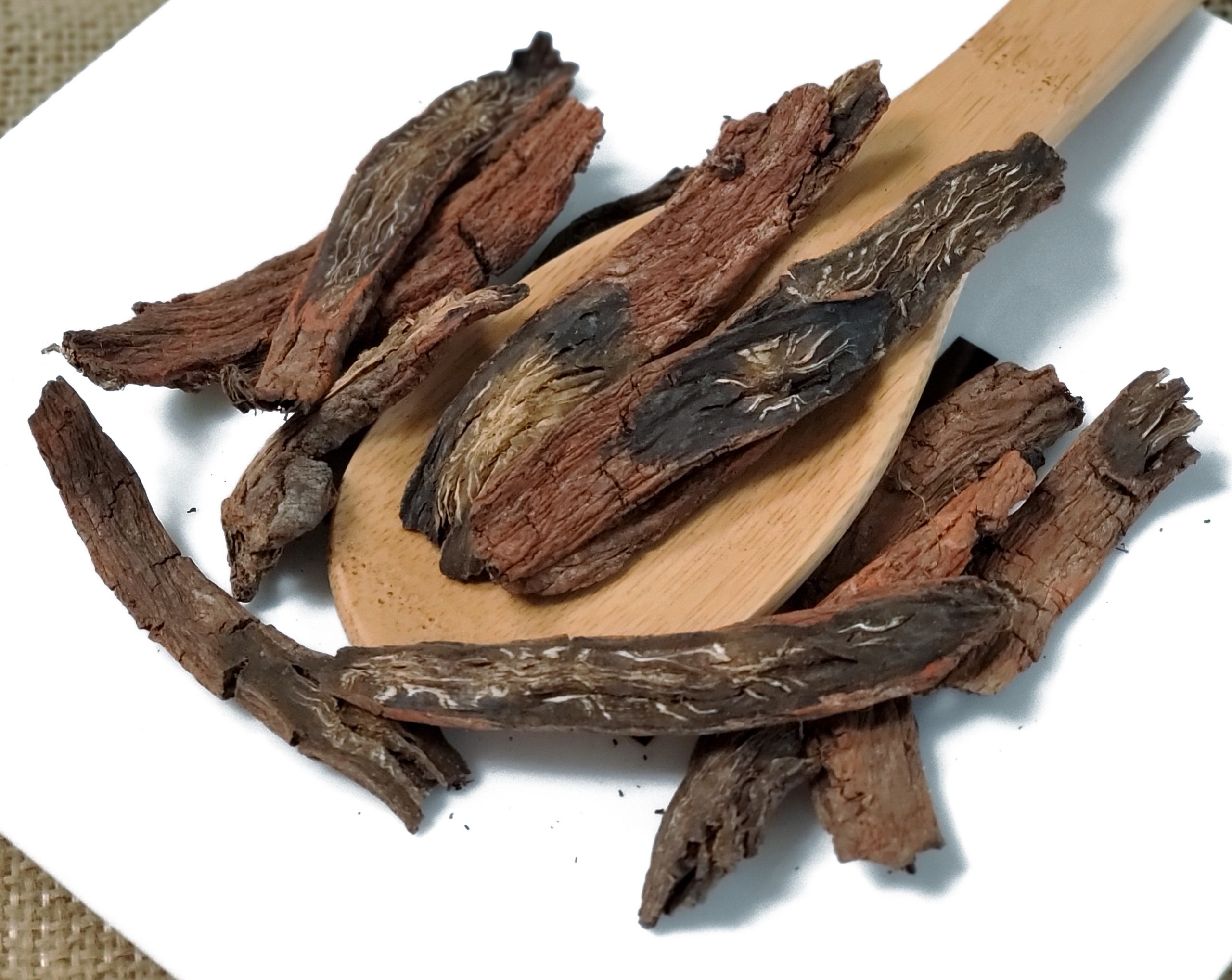 丹参 Dan Shen / Salvia Root /Salvia Miltiorrhiza Radix - Image 2