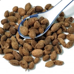 壳砂仁 砂仁 Ke Sha Ren / Amomum Fruit / Grains-of-Paradise Fruit / / Fructus Amomi