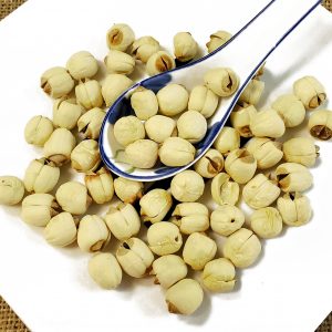 白莲子 / 甲白莲子 Jia Bai Lian Zi