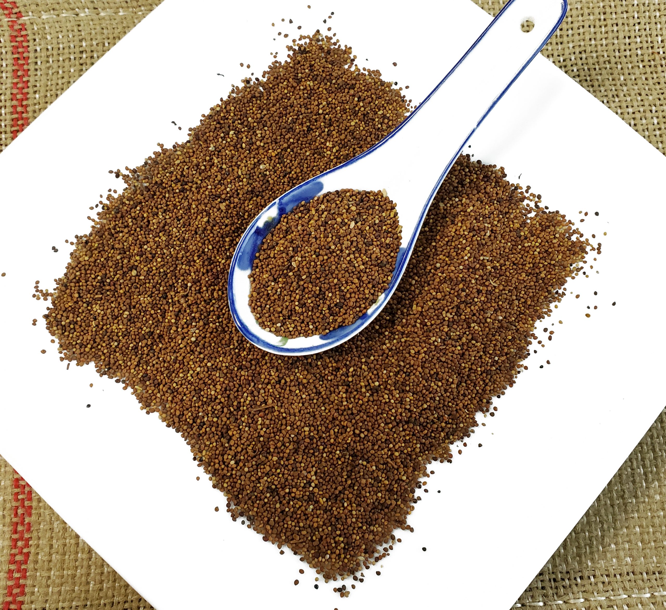 菟丝子 / 豆寄生 / Tu Si Zi /Cuscuta australis R.Br. chinensis Lam.