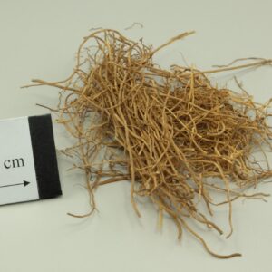 细辛 Xi Xin / Asarum Sieboldii Miq / Asarum Sieboldii / Herba Asari