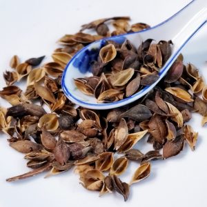 连翘 青翘/ Lian Qiao / Forsythia Suspensa / Fructus Forsythiae