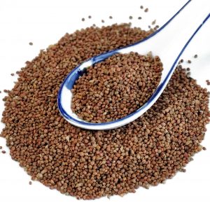 楮实子 Chu Shi Zi  / Broussonetiae Fructus / Paper Mulberry Fruit