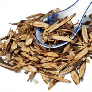 桂枝 Gui Zhi  / Cassia Twig / Ramulus Cinnamomi / Cinnamon Twig