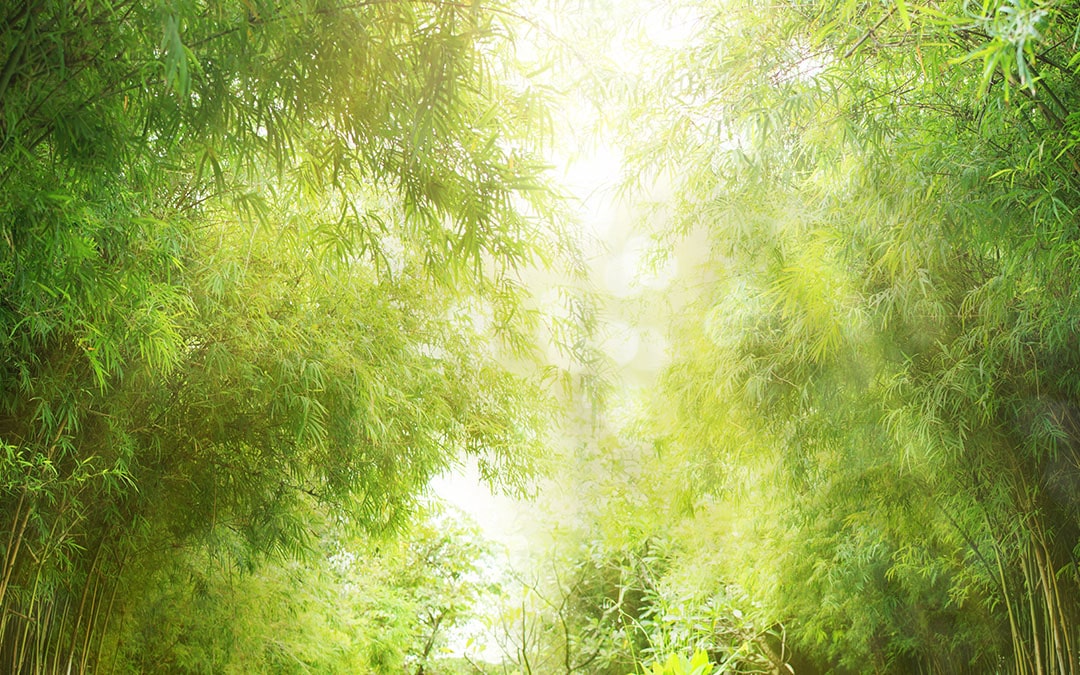 Top 5 Health Benefits Of Traditional Chinese Medicine