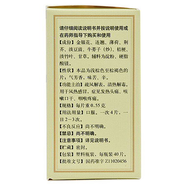 同仁堂 银翘解毒片 TongRenTang Yinqiao Jiedu Pian 40 Tablets - fever Reducer Antihistamine - Image 4