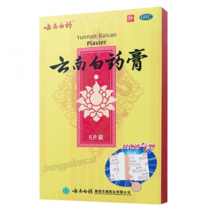 云南白药膏 Yunnan Baiyao External Analgesic Plaster (5 Plaster)