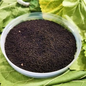 蚕砂 Can Sha / Bombycis Faeces / Silkworm Excrement