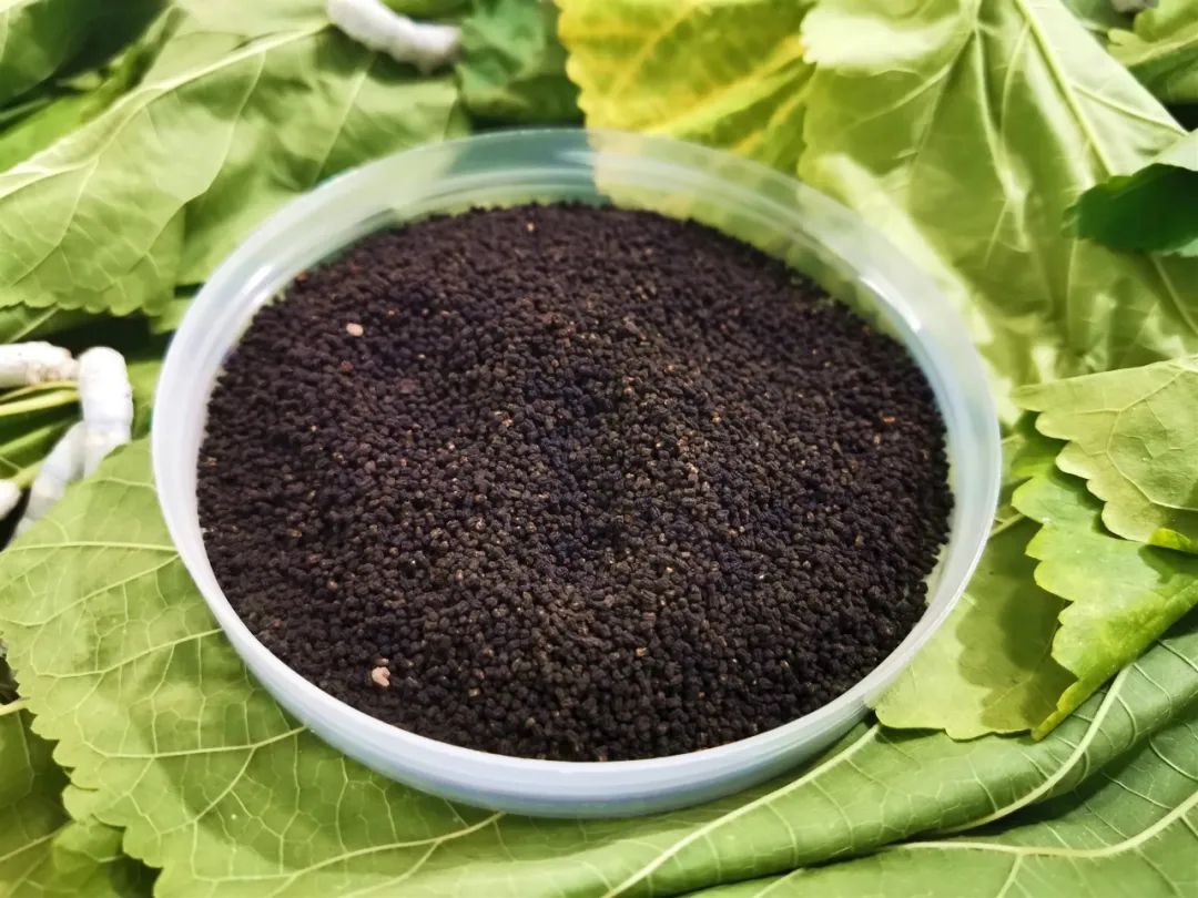 蚕砂 Can Sha / Bombycis Faeces / Silkworm Excrement