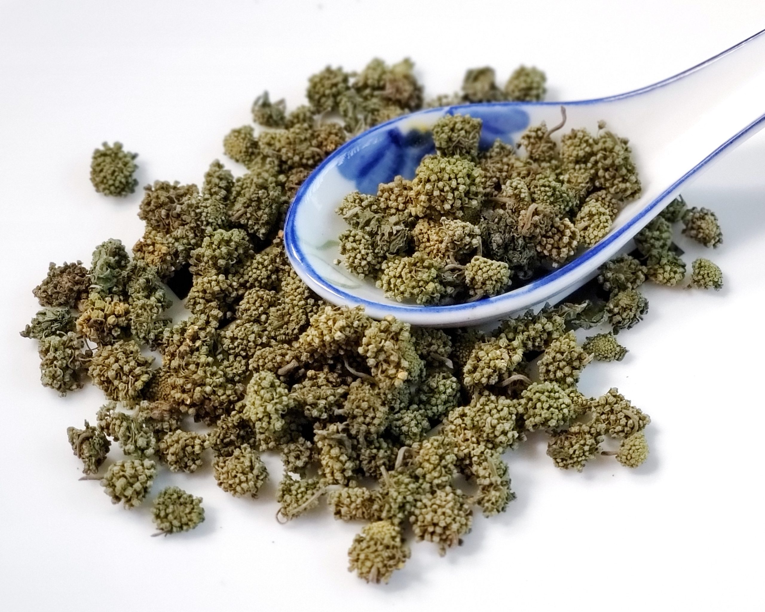 三七花  San Qi Hua / Sanchi Flower / Notoginseng Flower / Notoginseng / Pseudoginseng Flower