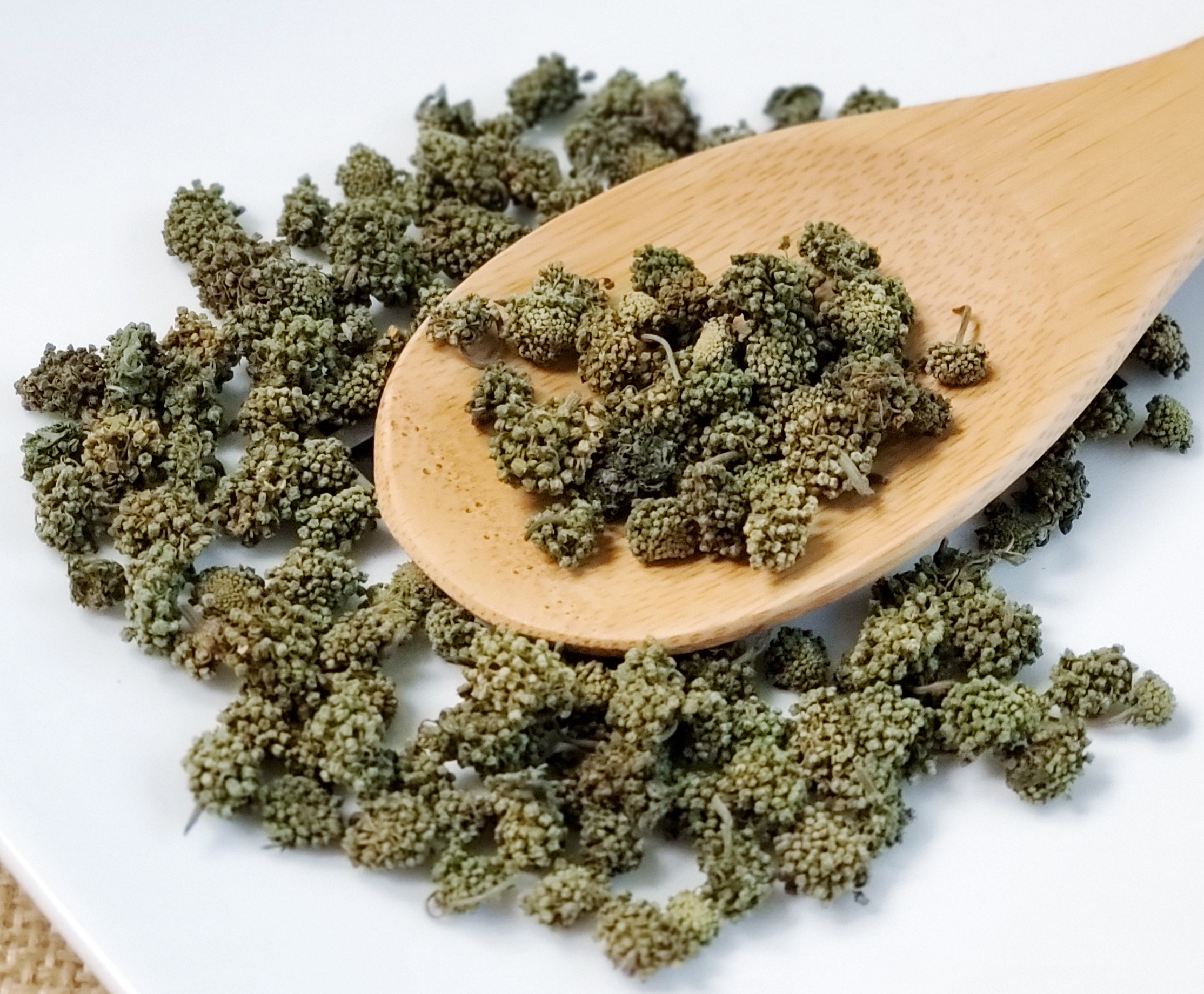 三七花  San Qi Hua / Sanchi Flower / Notoginseng Flower / Notoginseng / Pseudoginseng Flower - Image 2