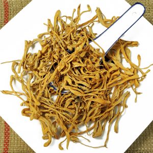 虫草花 金虫草 Jin Chong Cao / Cordyceps / Cordyceps Fungus / Creeping Jenny / North Cordyceps Sinensis