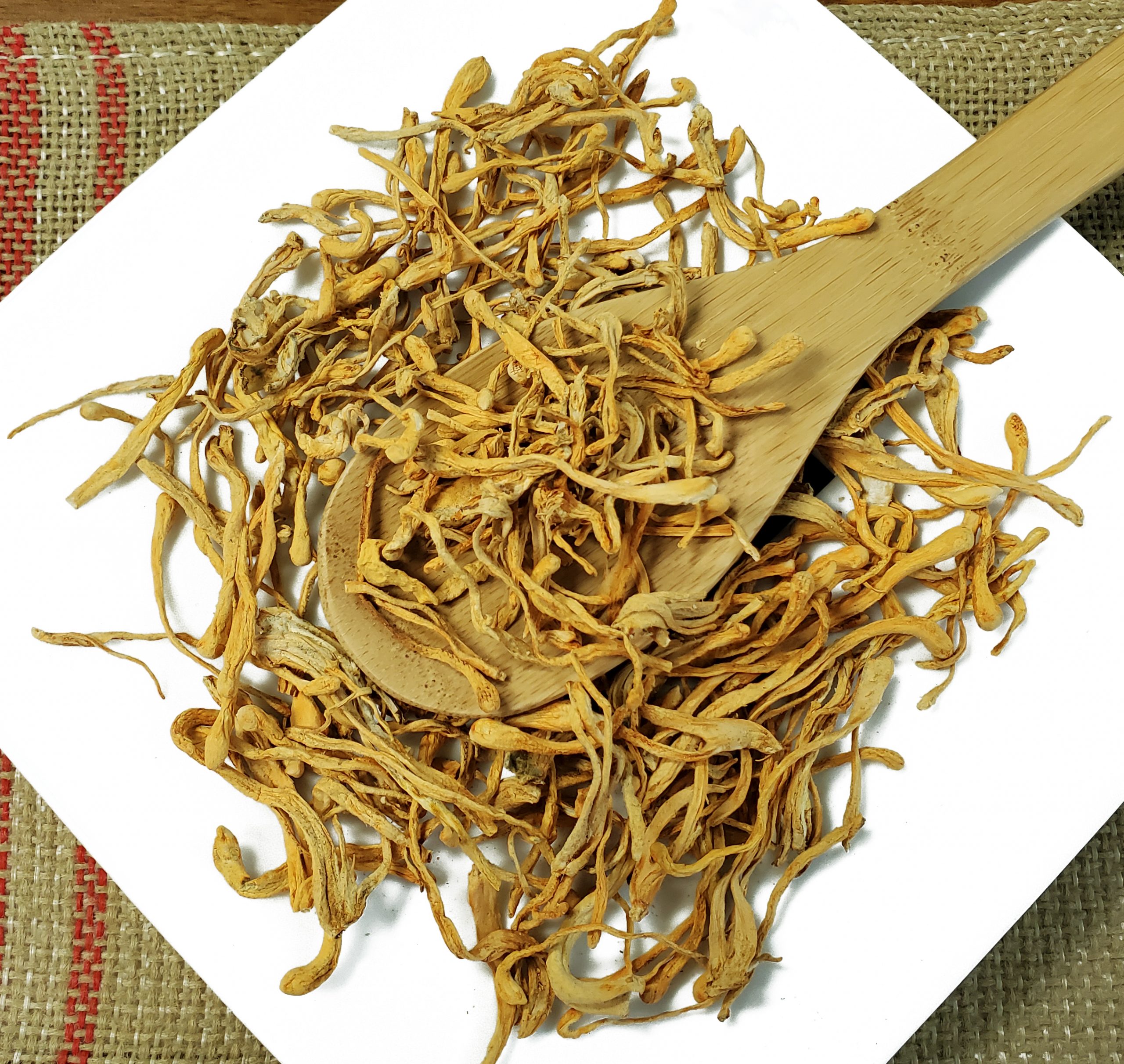 虫草花 金虫草 Jin Chong Cao / Cordyceps / Cordyceps Fungus / Creeping Jenny / North Cordyceps Sinensis - Image 2