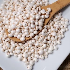 炒薏米 薏苡仁 Chao Yi Mi / Prepared Job's Tears / Dried Pearl Barley / 薏仁米 / Yi Ren Mi