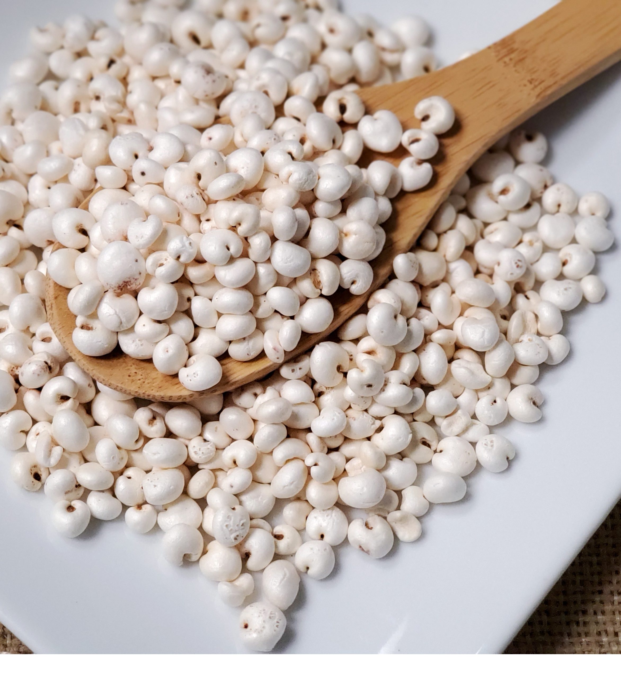 炒薏米 薏苡仁 Chao Yi Mi / Prepared Job's Tears / Dried Pearl Barley / 薏仁米 / Yi Ren Mi